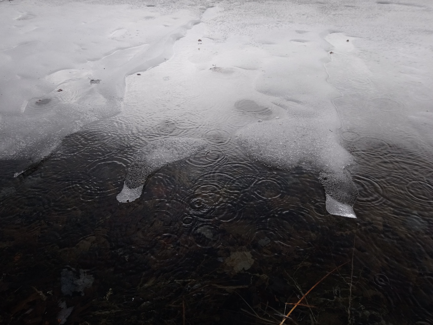 Peter Sramek: image of ice on water
